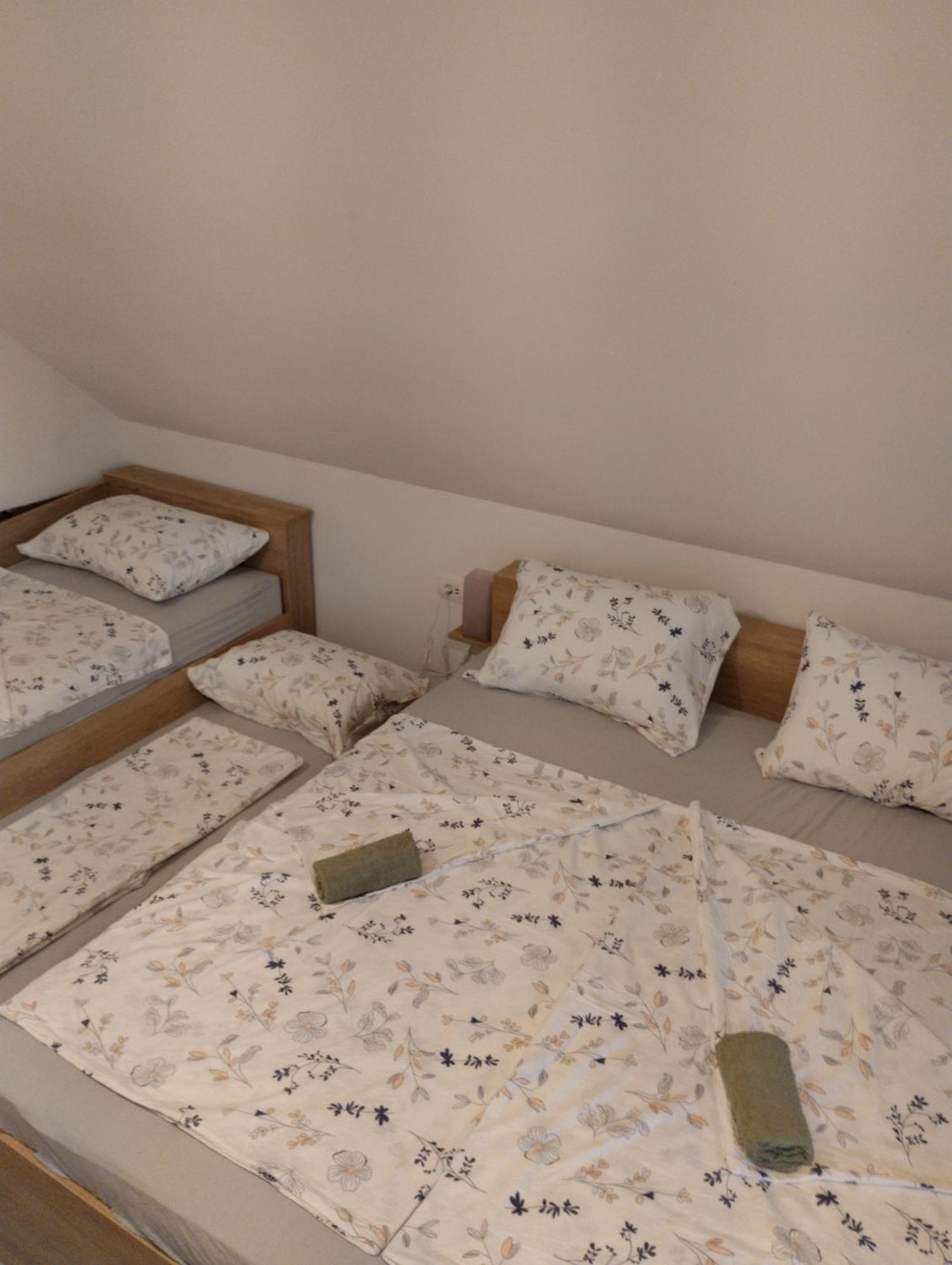 Apartma Sveti Duh Nova Vas  Ngoại thất bức ảnh