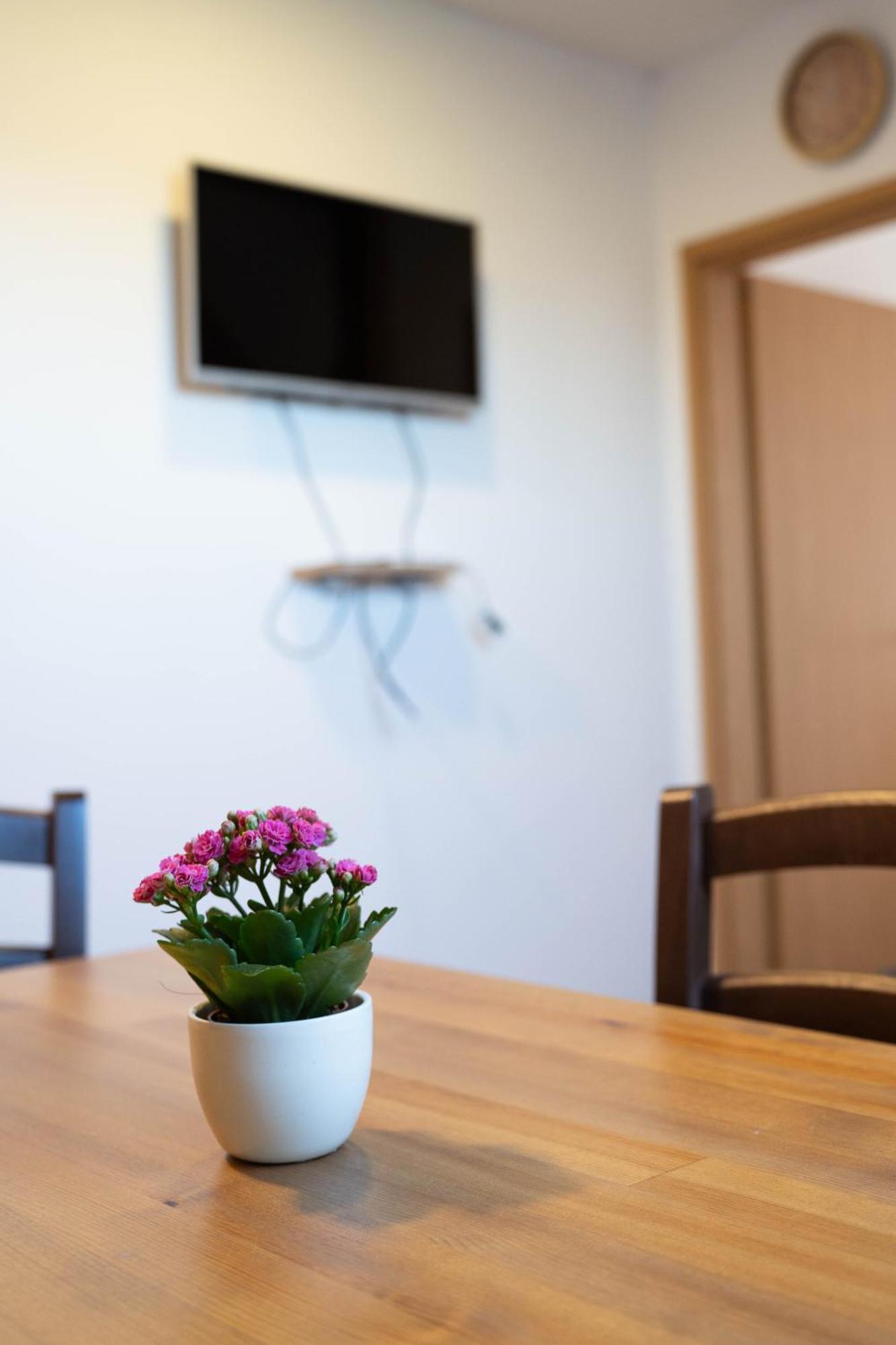 Apartma Sveti Duh Nova Vas  Phòng bức ảnh